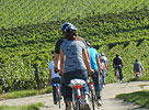 Biketour Deutsche Weinstraße - Wein & Biketouren in der Pfalz [3/8]