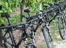 Bike-Vermietung Mannheim / Fahrradverleih Rhein-Neckar [5/8]