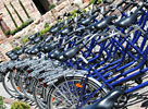 Bike-Events & Fahrrad-Touren Mannheim & Rhein-Neckar [4/8]