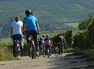 Bike-Events & Fahrrad-Touren Mannheim & Rhein-Neckar [5/8]