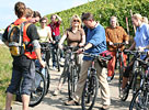 Bike-Team-Events Mannheim & Rhein-Neckar [5/8]